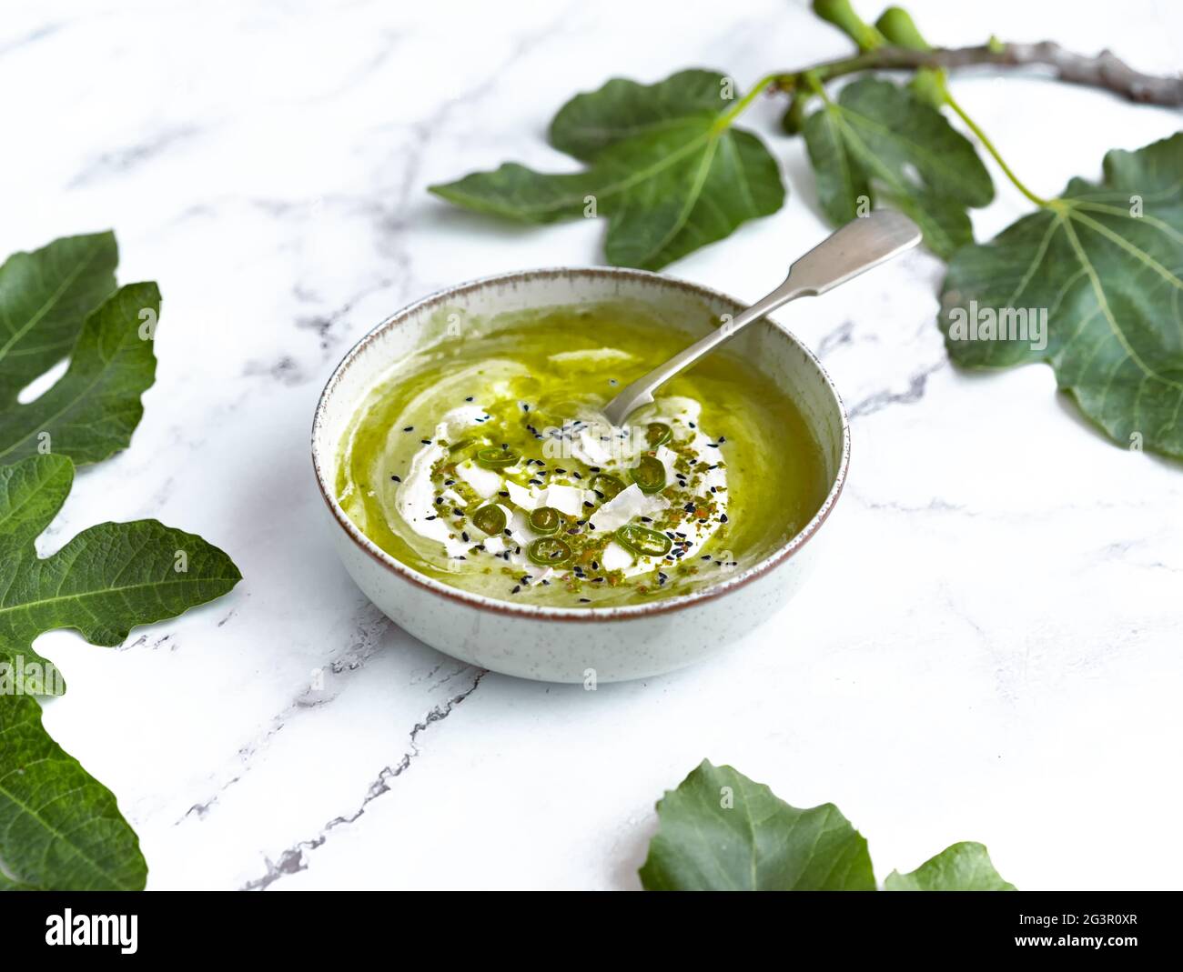 Luminosa fotografia di una zuppa di crema vegana su un tavolo di marmo. Ricetta di verdure di una zuppa fredda estiva. Purea di prodotti di stagione tra foglie di fico. Foto Stock