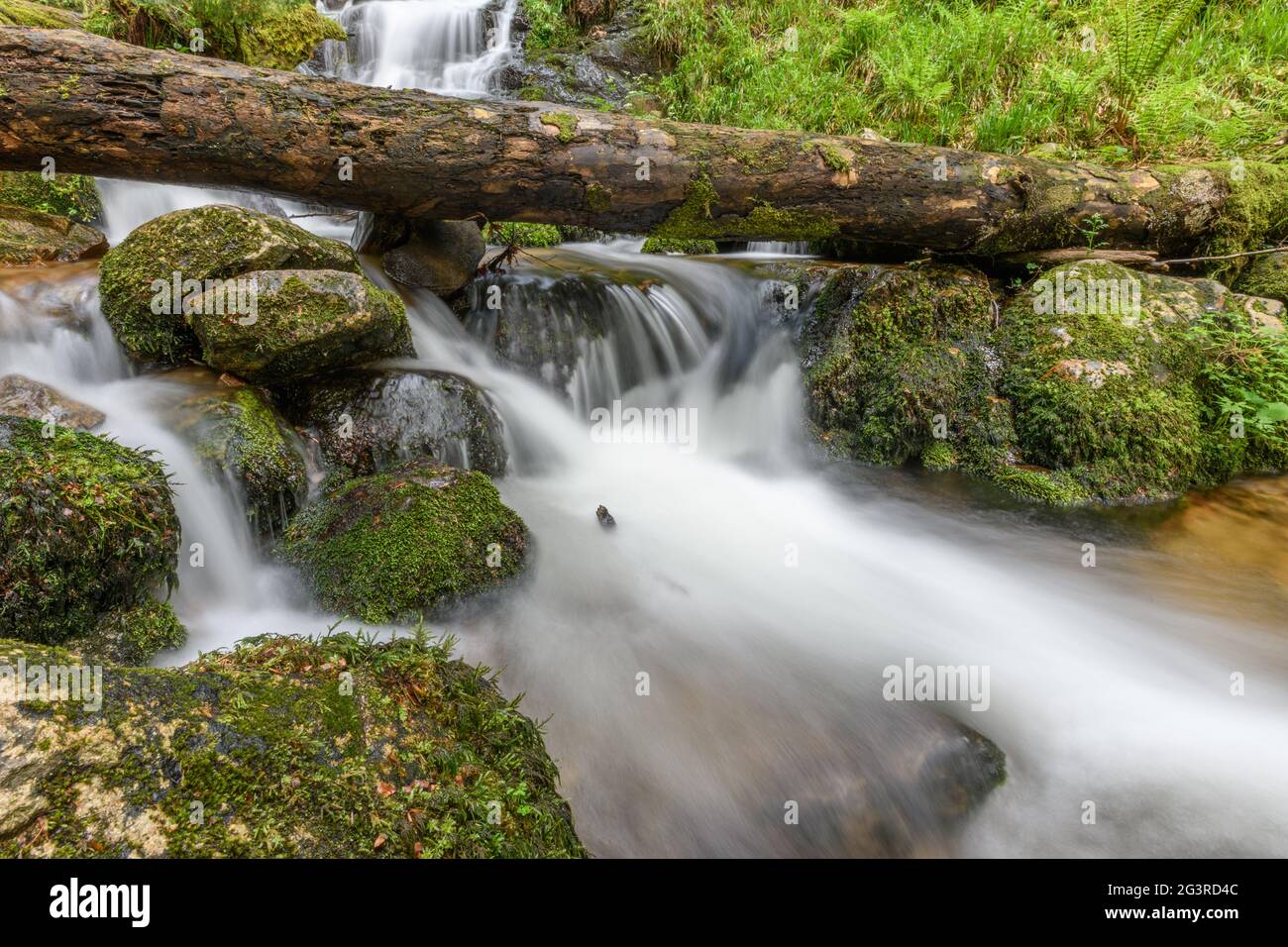 Torrente di montagna nei Vosgi. Cascata Charlemagne sulla Vologne. Foto Stock
