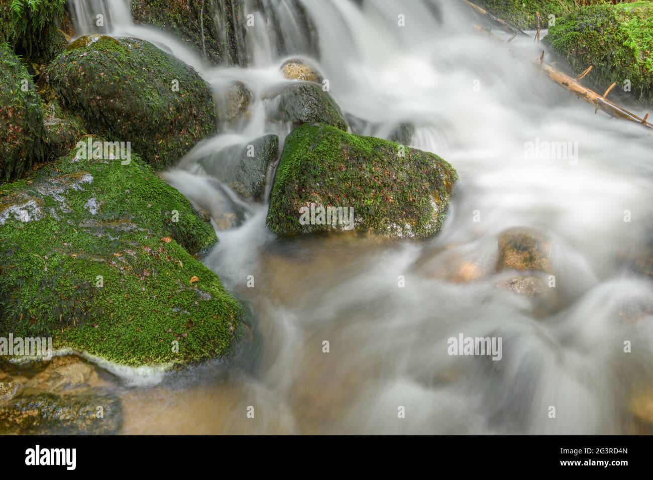 Torrente di montagna nei Vosgi. Cascata Charlemagne sulla Vologne. Foto Stock