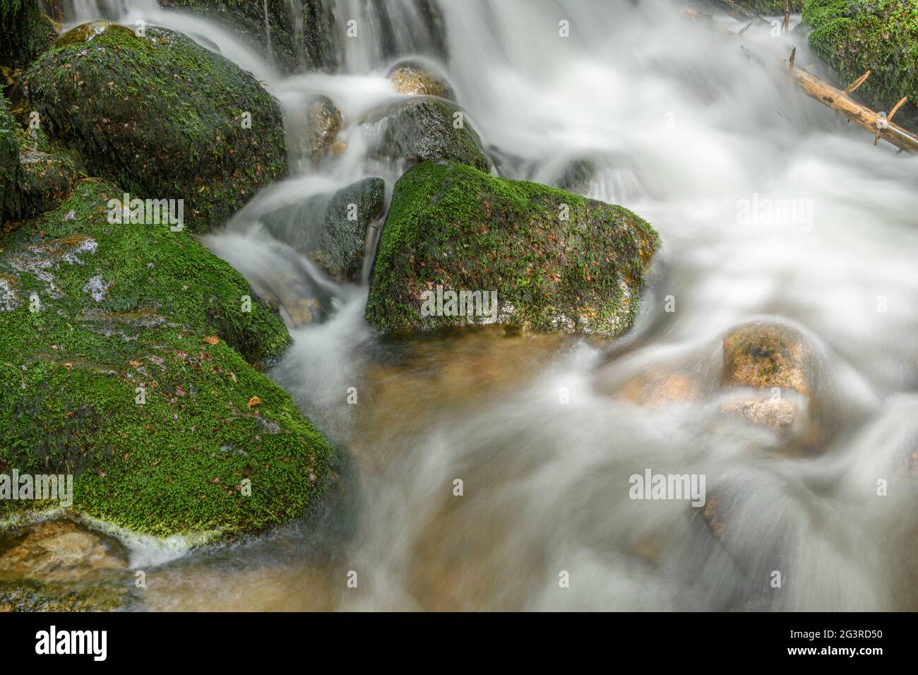 Torrente di montagna nei Vosgi. Cascata Charlemagne sulla Vologne. Foto Stock