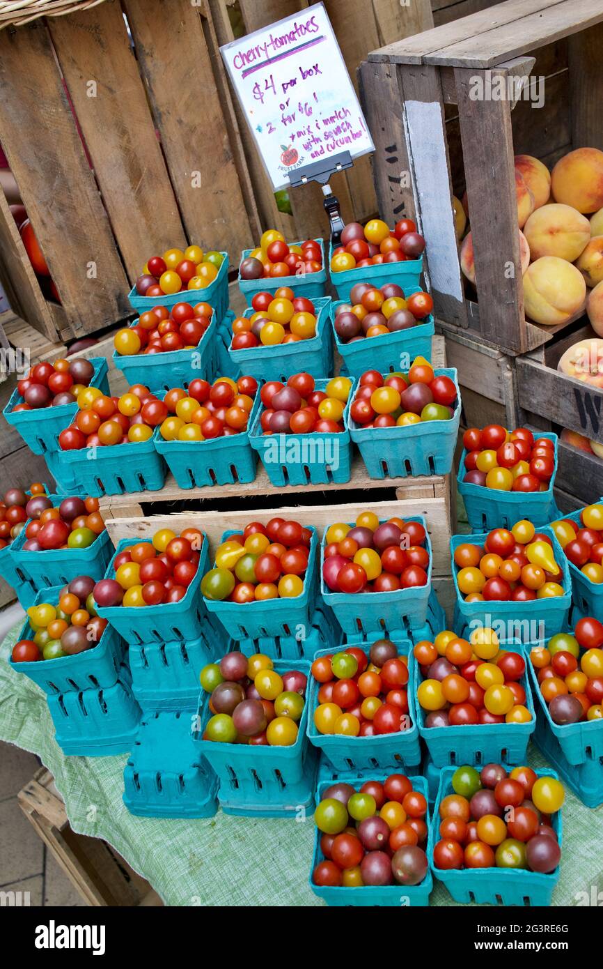 Pomodori ciliegini in contenitori di pinta al mercato agricolo di Washington, DC, USA. Angolo di testa del contenitore pieno. Foto Stock