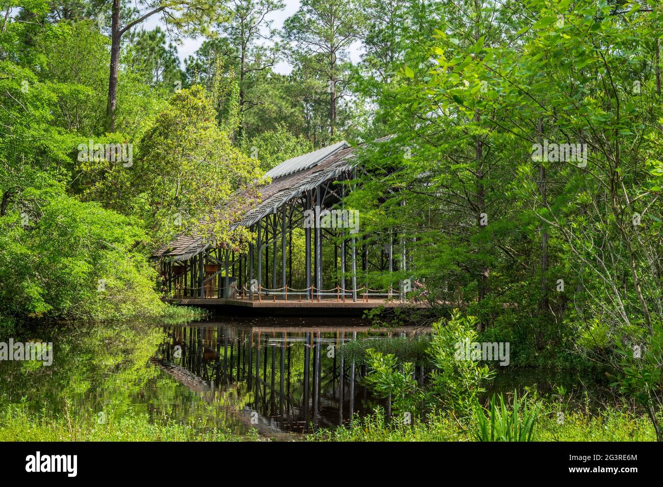 Pinecote Pavilion presso il Crosby Arboretum, un conservatorio che protegge le piante native del bacino idrografico del fiume Pearl del Mississippi e della Louisiana. Foto Stock