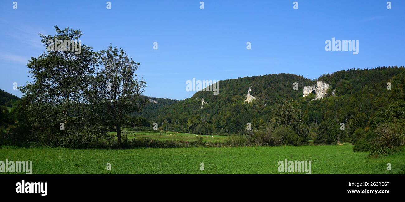 Rocce nella valle del Danubio vicino a Fridingen, alpi sveve, germania Foto Stock