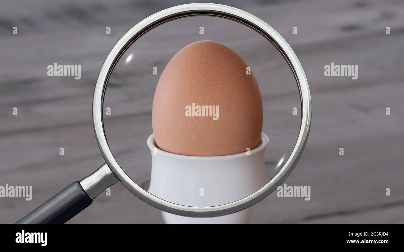 Controllo di qualità delle uova da colazione Foto Stock