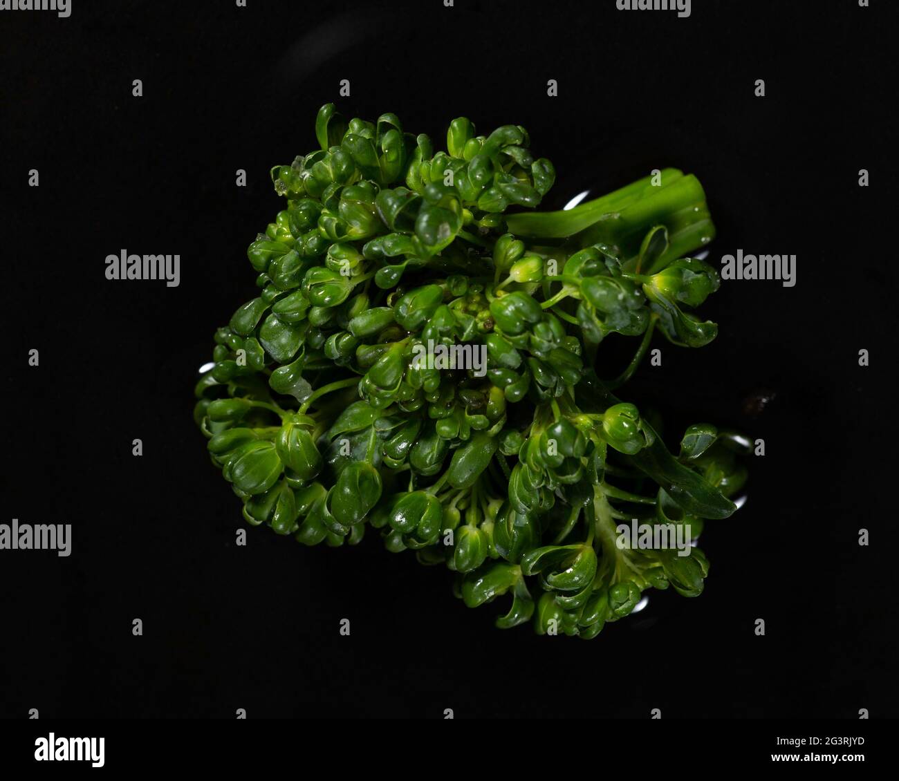 broccoli freschi su una padella di ferro nera Foto Stock