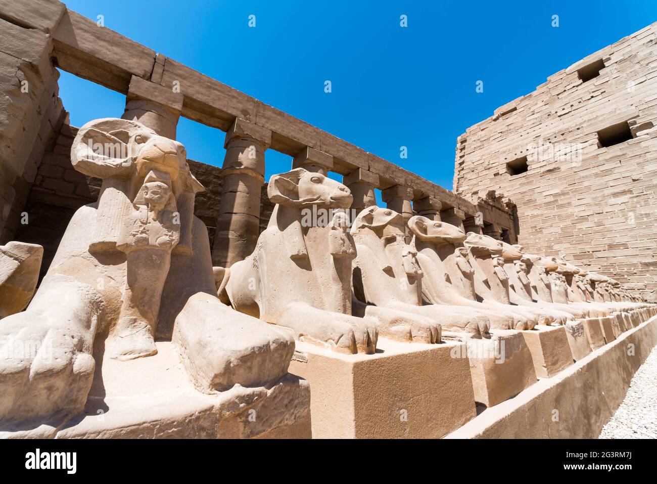 Statue antiche di molte pecore nel tempio di Karnak a Luxor in Egitto Foto Stock