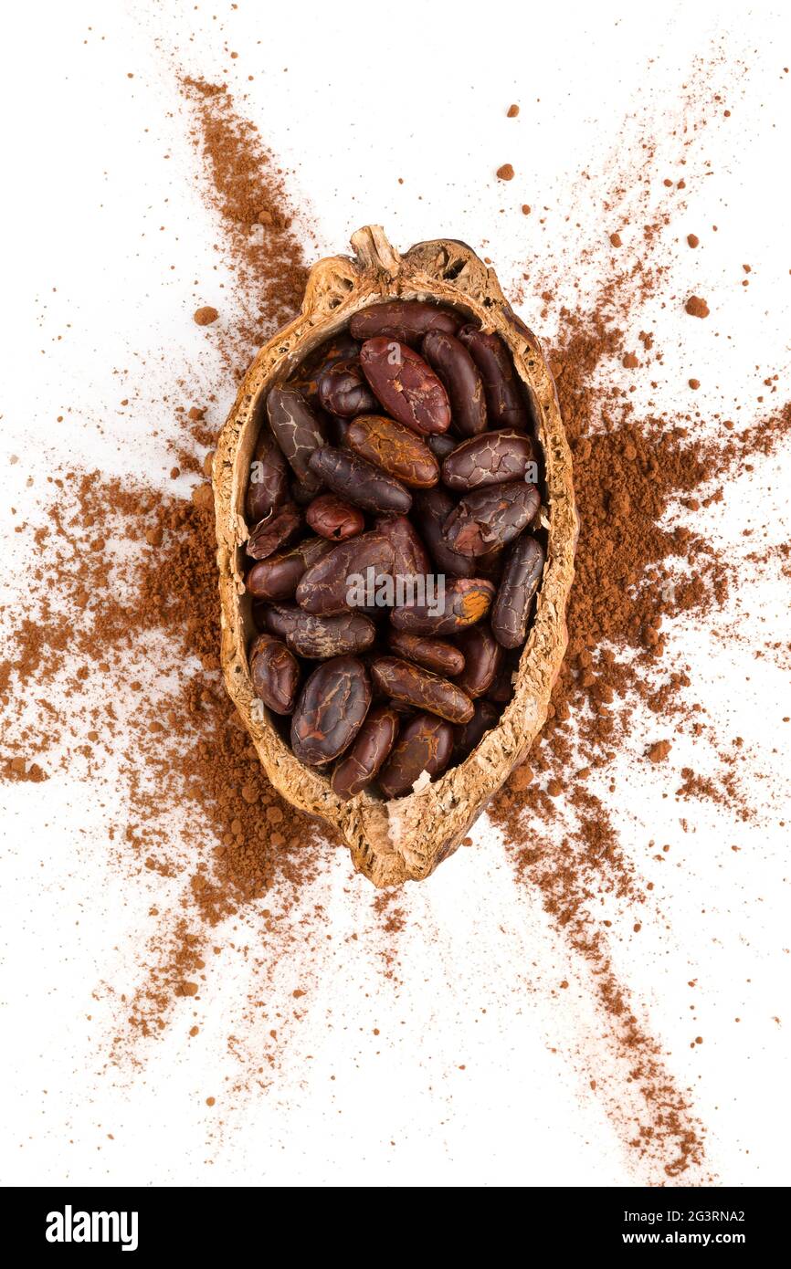 Chicchi di cacao appena tostati su sfondo bianco, vista dall'alto. Foto Stock