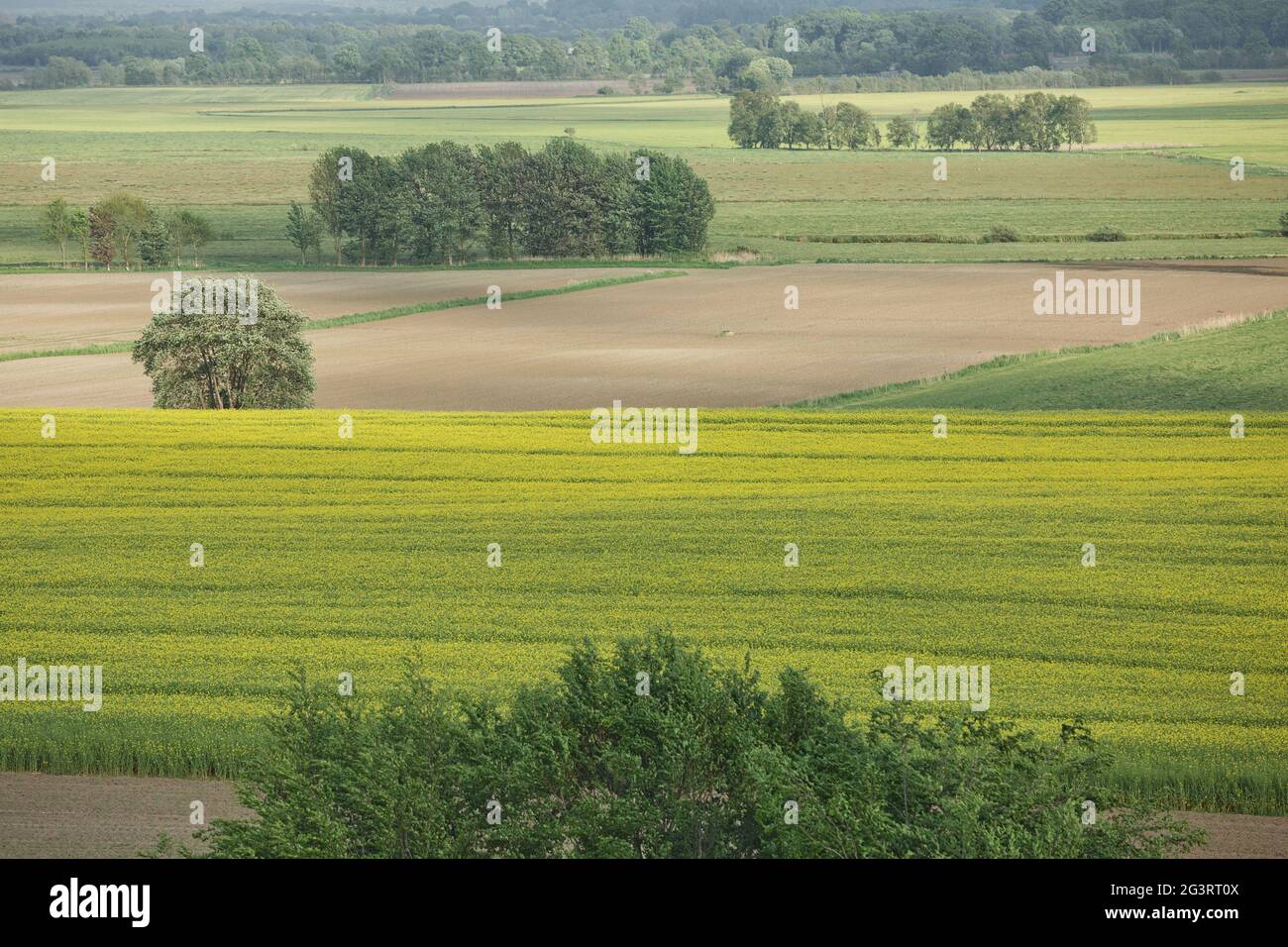 Splendido paesaggio rurale con campi e piccolo fiume vicino Kiel - Schleswig-Holstein - Germania Foto Stock