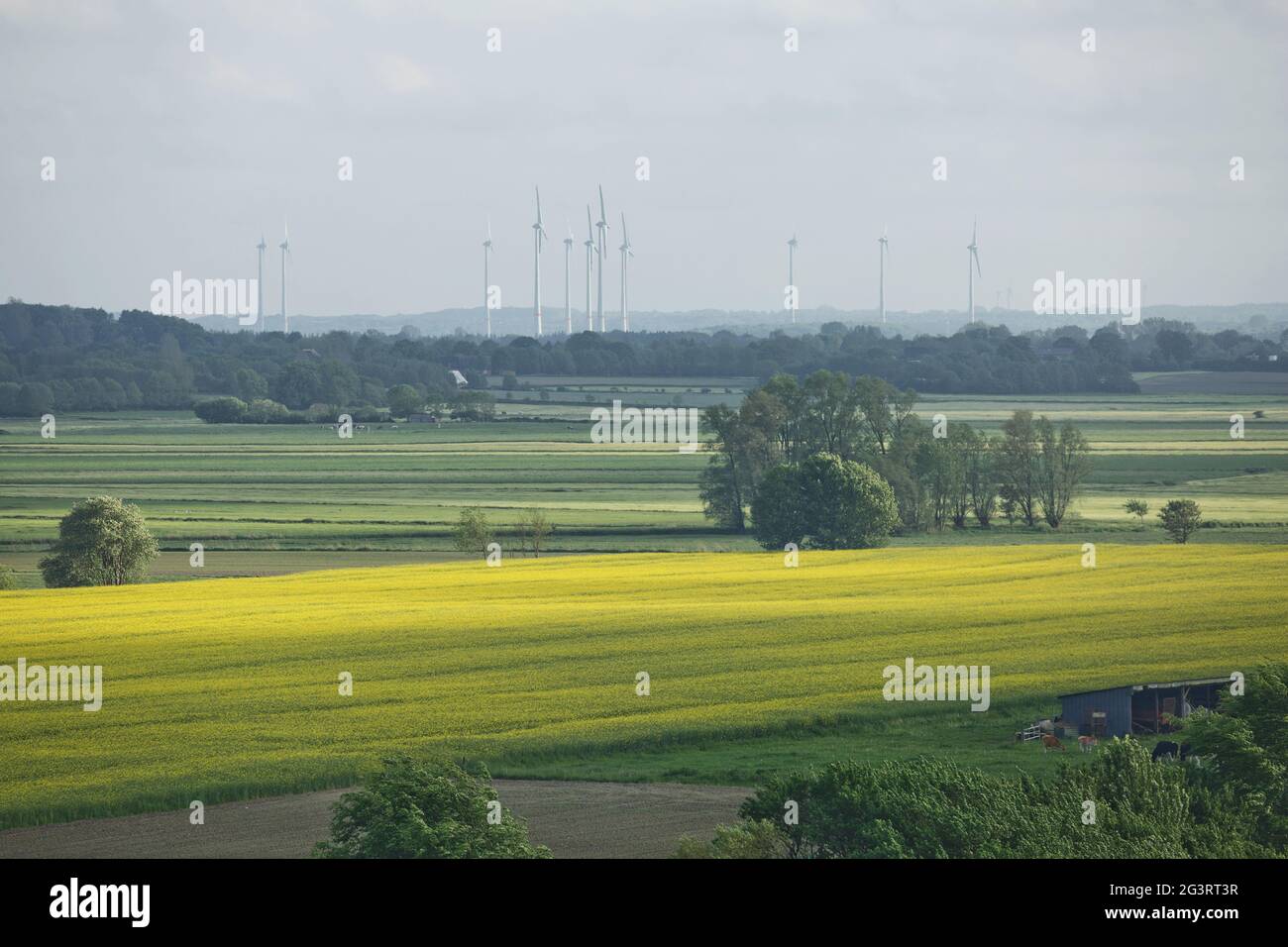 Bellissimo paesaggio di campagna con campi e mulini a vento vicino Kiel - Schleswig-Holstein - Germania Foto Stock
