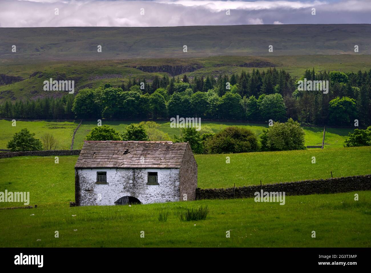 Fienile tradizionale imbiancato in Upper Teesdale, County Durham, Inghilterra, in primavera Foto Stock