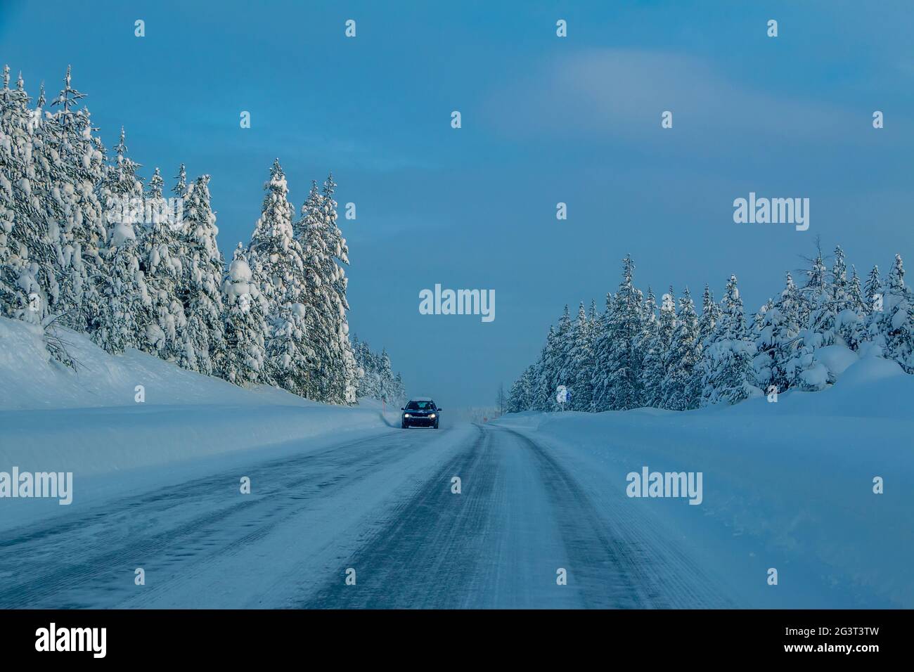 Auto Lonely su un'autostrada Suburbana in una foresta innevata Foto Stock