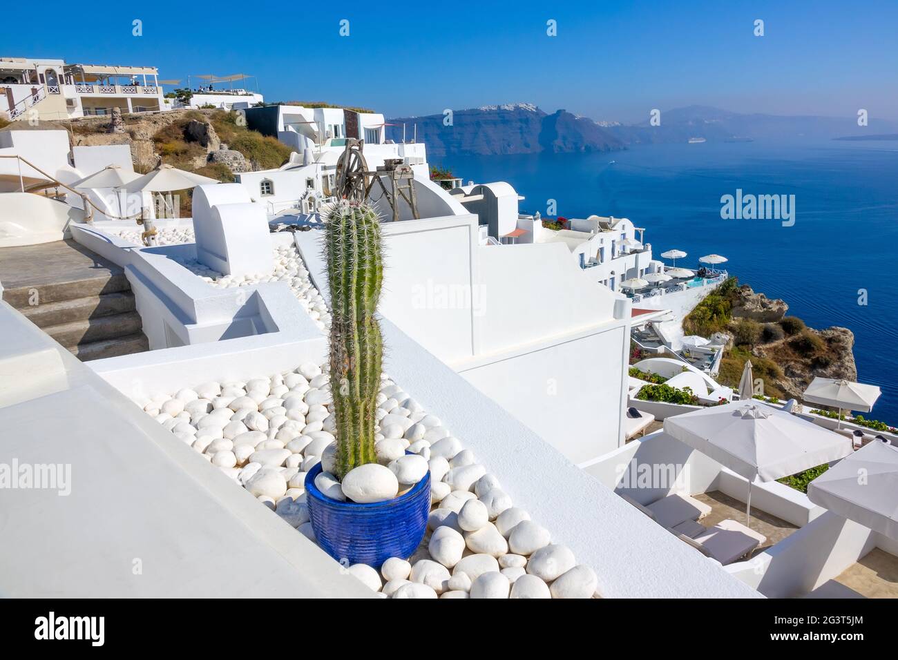 Case bianche a Santorini e Cactus decorativo Foto Stock