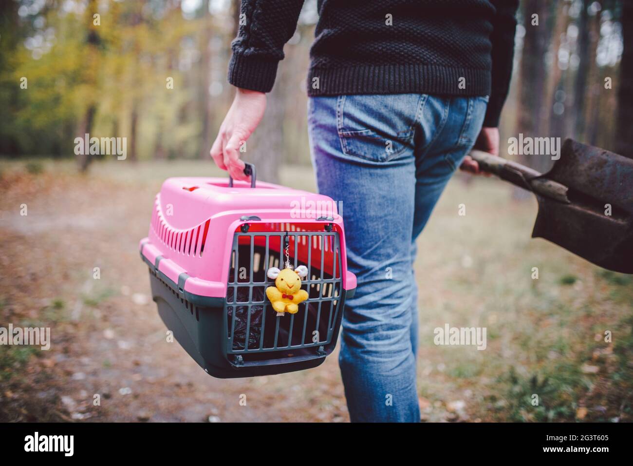 Uomo ancora in foresta trasportando la scatola di trasporto all'interno con animale domestico morto e pala per seppellire l'animale in legno. Perdita dell'animale domestico in autunno. Maschio Foto Stock