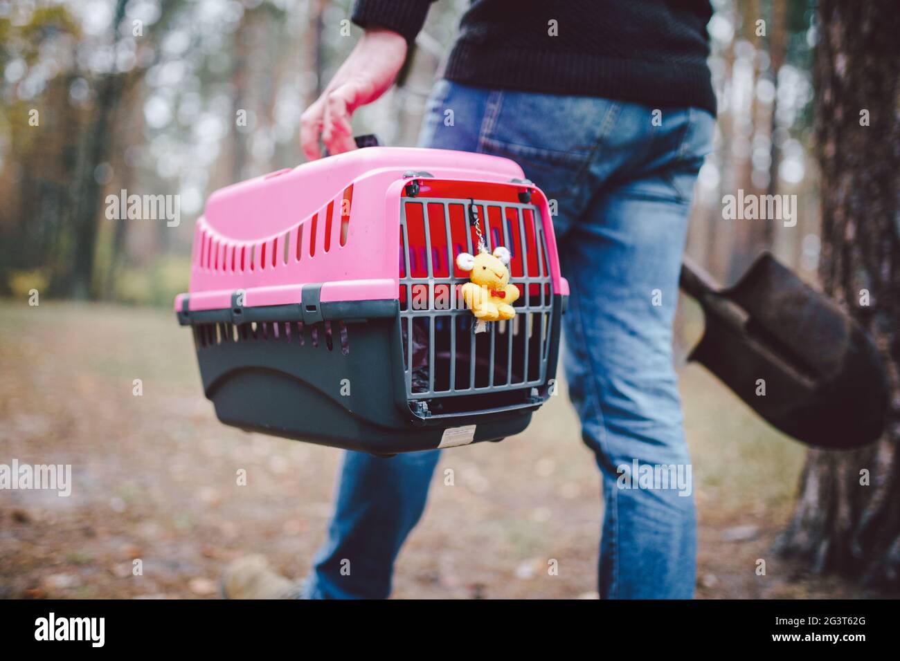 Uomo ancora in foresta trasportando la scatola di trasporto all'interno con animale domestico morto e pala per seppellire l'animale in legno. Perdita dell'animale domestico in autunno. Maschio Foto Stock