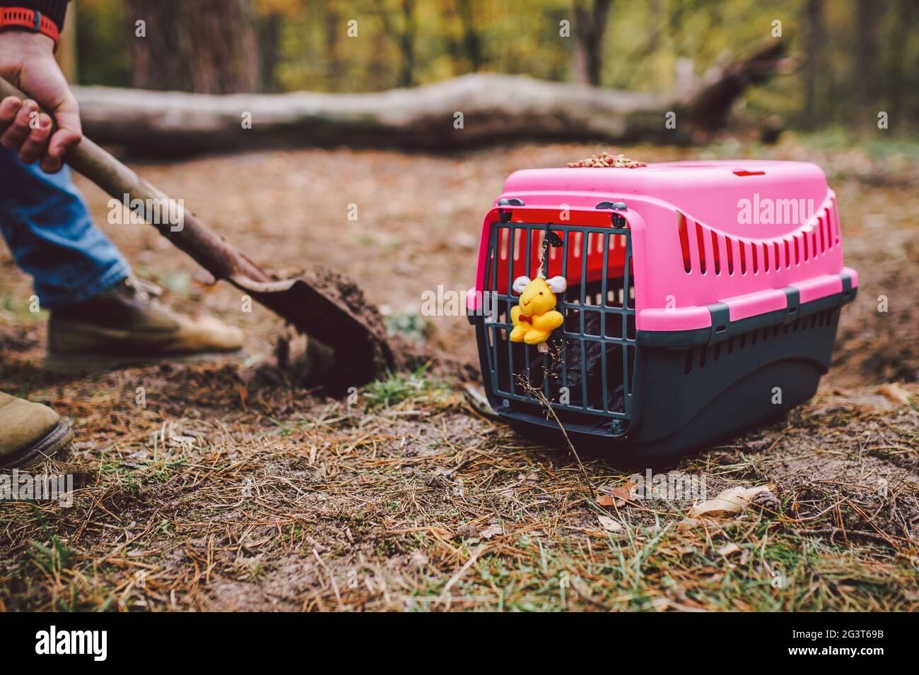 Spaventosa scena horror uomo digs tomba per animale in foresta. Terribile perdita di piccolo amico. Morte di animale domestico. Funerale di gatto. Gravedigge Foto Stock