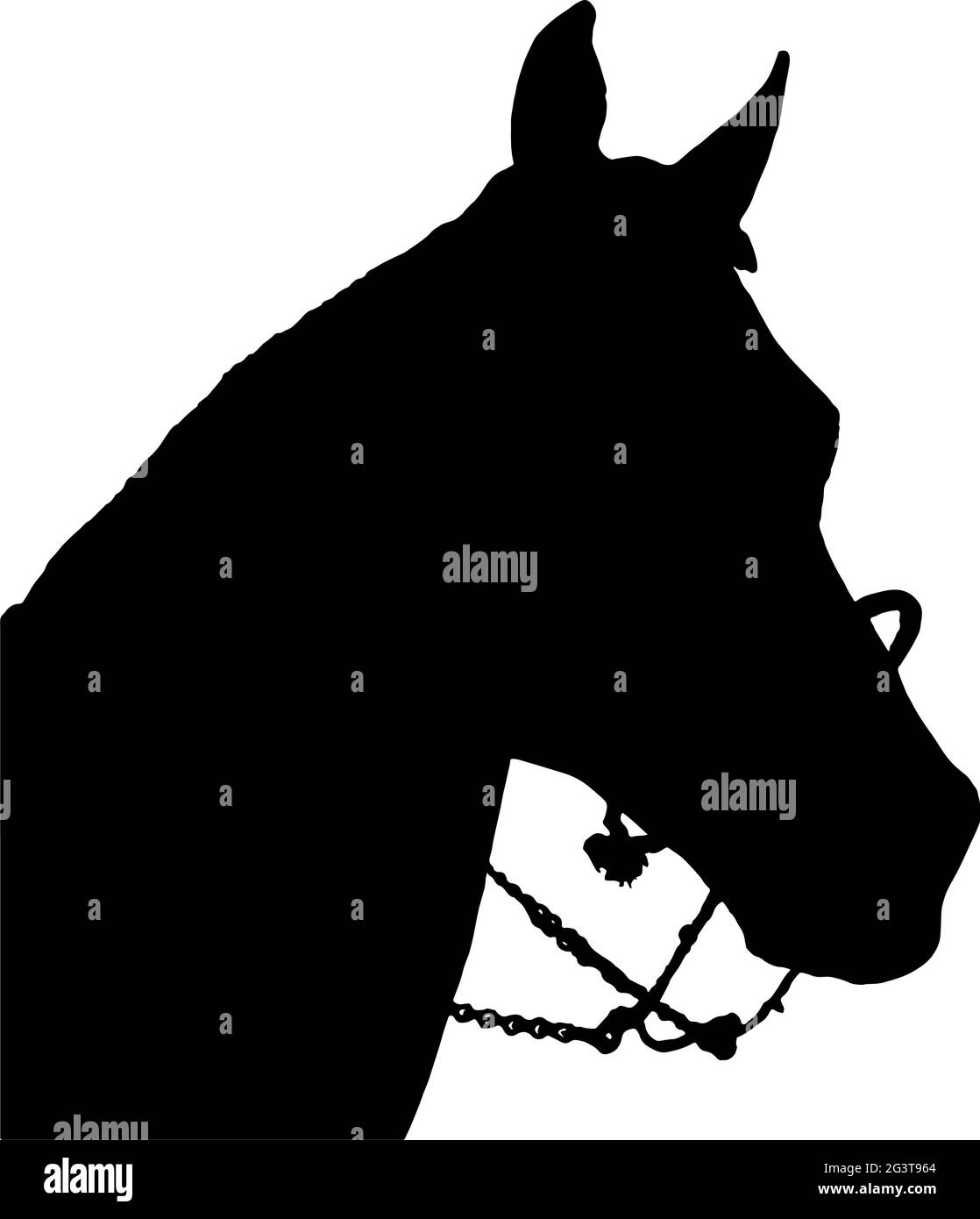 Sagoma della testa del cavallo in nero su sfondo bianco illustrazione vettoriale Illustrazione Vettoriale
