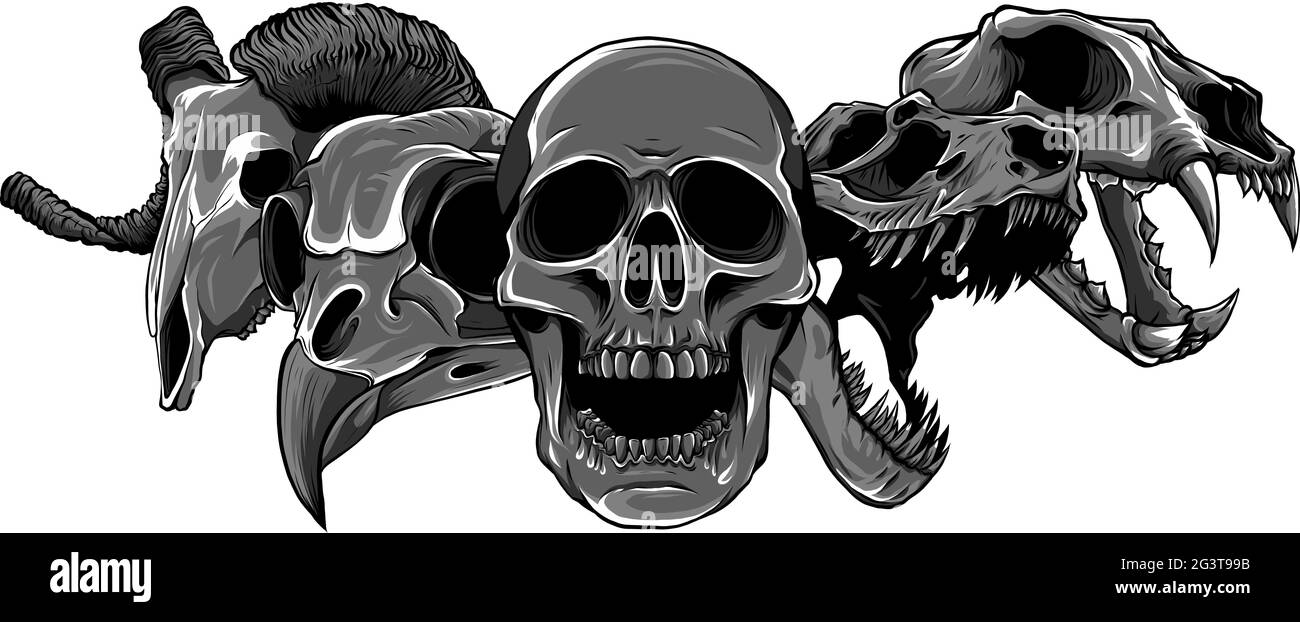 illustrazione vettoriale del disegno di arte del cranio animale Illustrazione Vettoriale