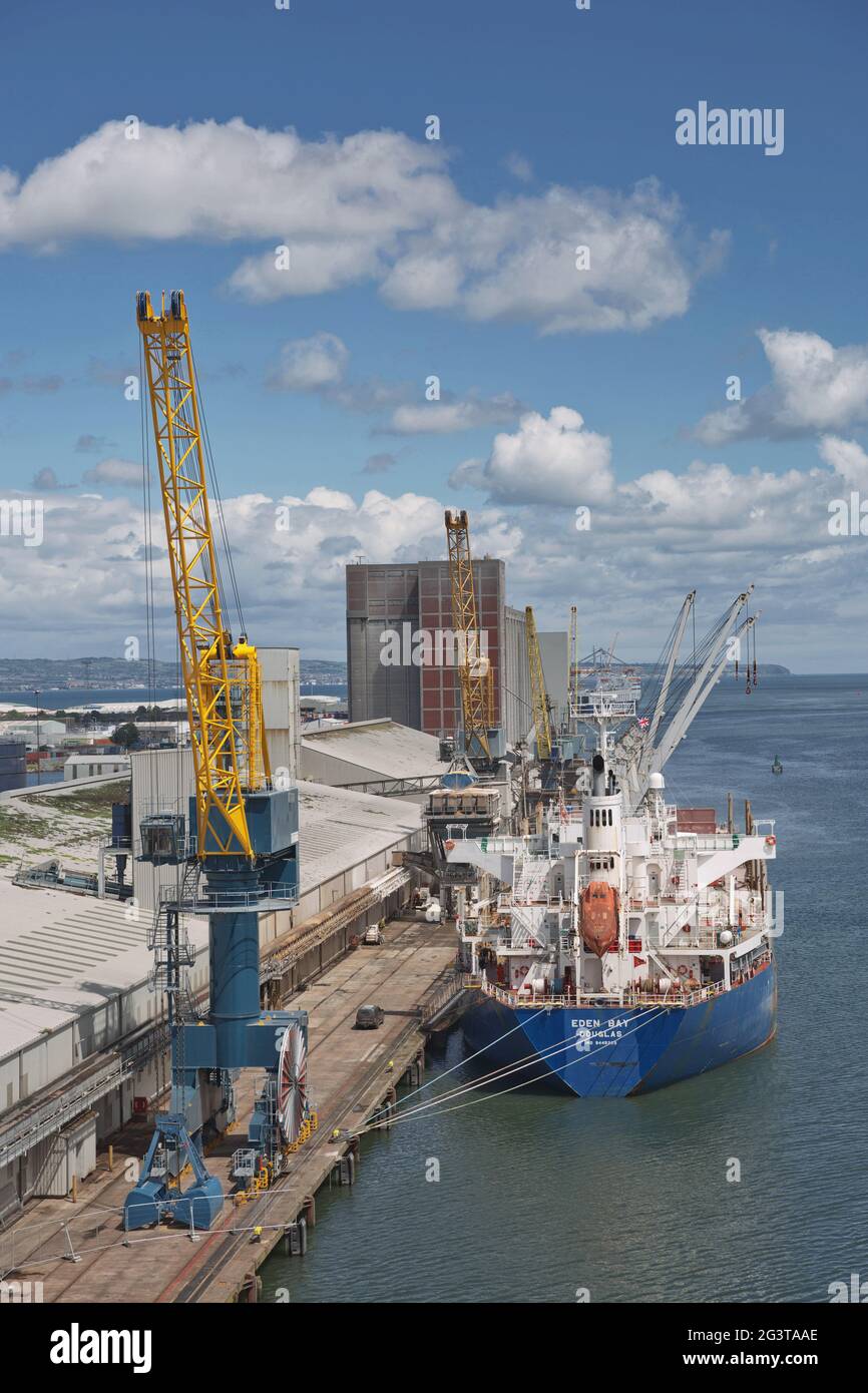 Navi container per il carico di gru industriali di grandi dimensioni nel porto di Belfast in Irlanda Foto Stock