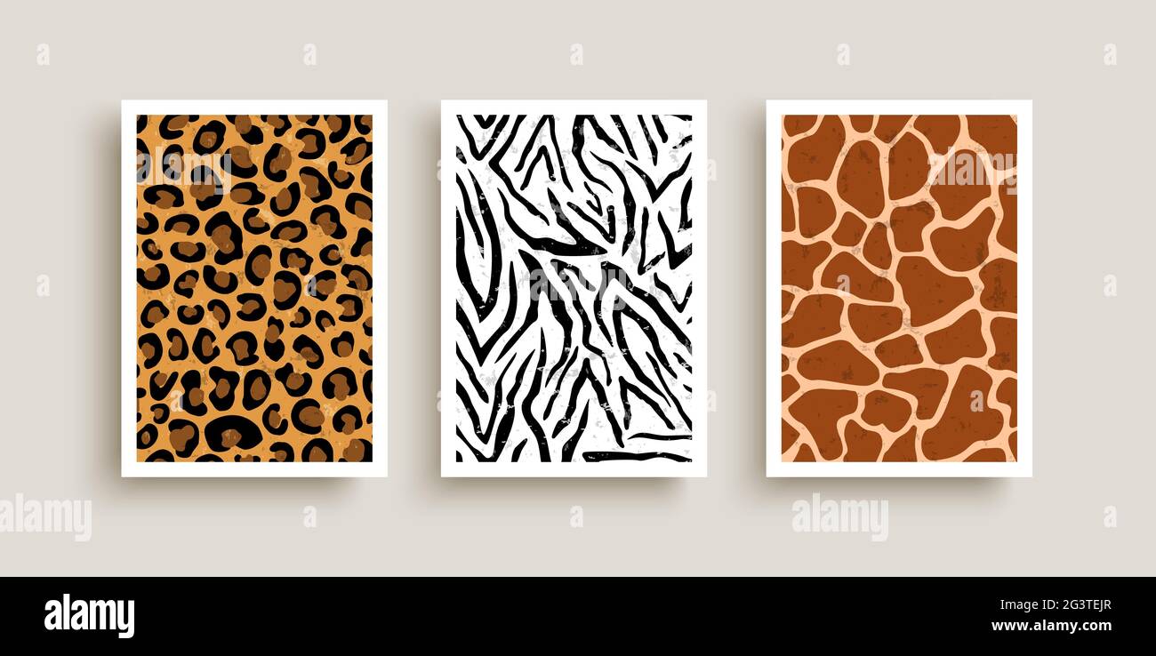 Set di immagini di texture di stampa animale su sfondo bianco isolato. Gli animali selvatici africani sfondi della pelle includono zebra, leopardo, giraffe. Illustrazione Vettoriale
