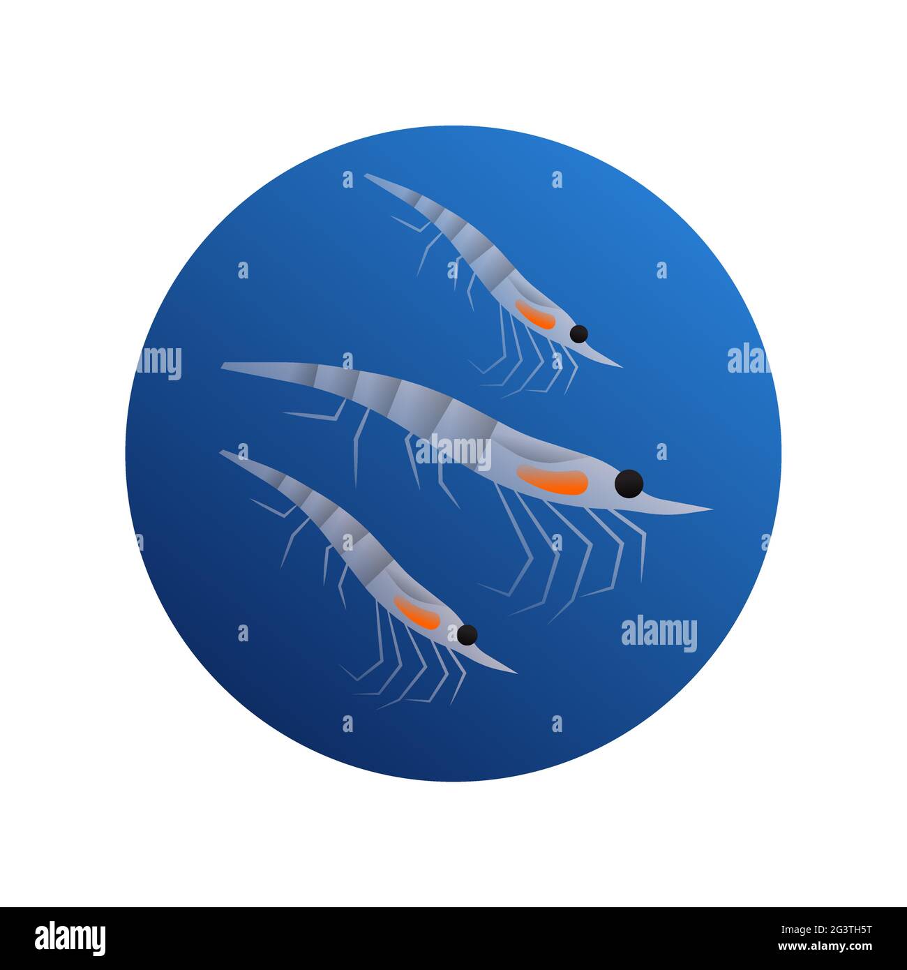 Illustrazione krill su sfondo bianco isolato. Sotto concetto di animale di mare di acqua. Design educativo della fauna selvatica in stile moderno cartone animato. Illustrazione Vettoriale