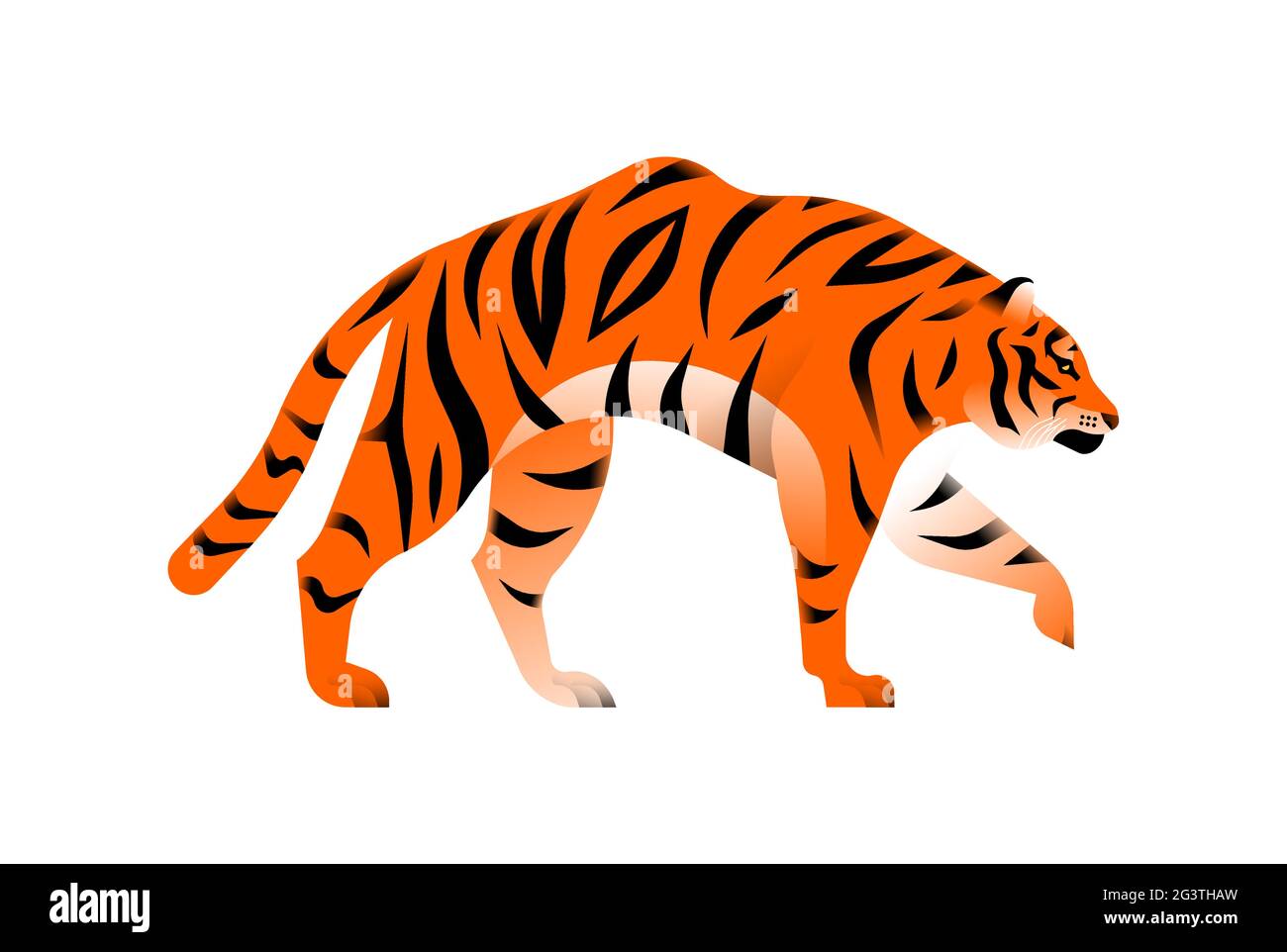 Illustrazione della tigre del Bengala su sfondo bianco isolato. Esotico concetto di animali della giungla in pericolo. Design educativo della fauna selvatica in stile moderno cartone animato. Illustrazione Vettoriale