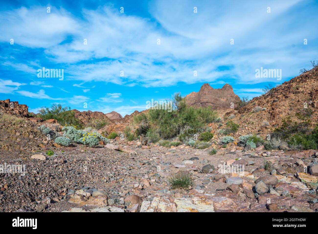 Una vista sulla natura a Yuma, Arizona Foto Stock