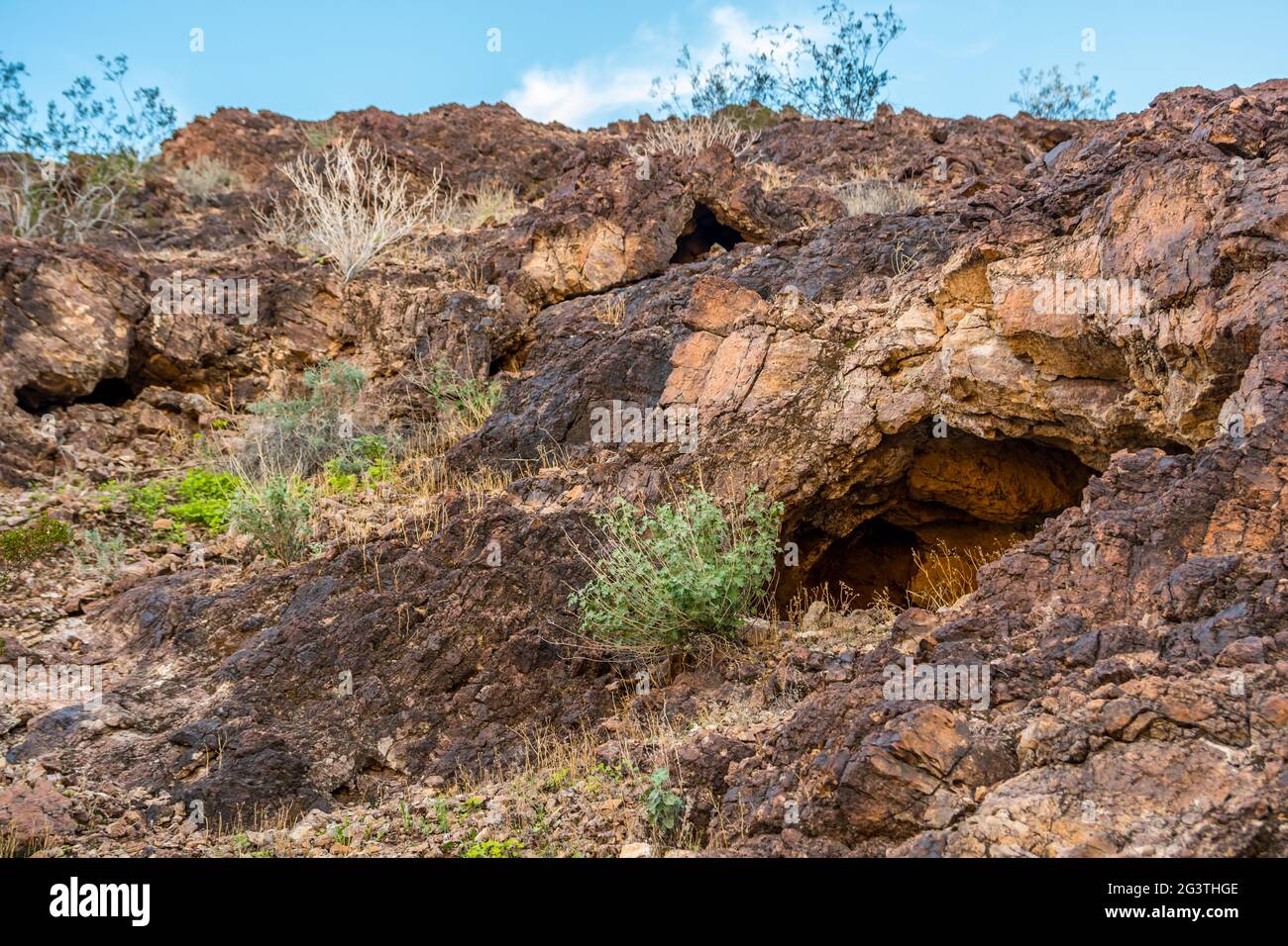 Una vista sulla natura a Yuma, Arizona Foto Stock