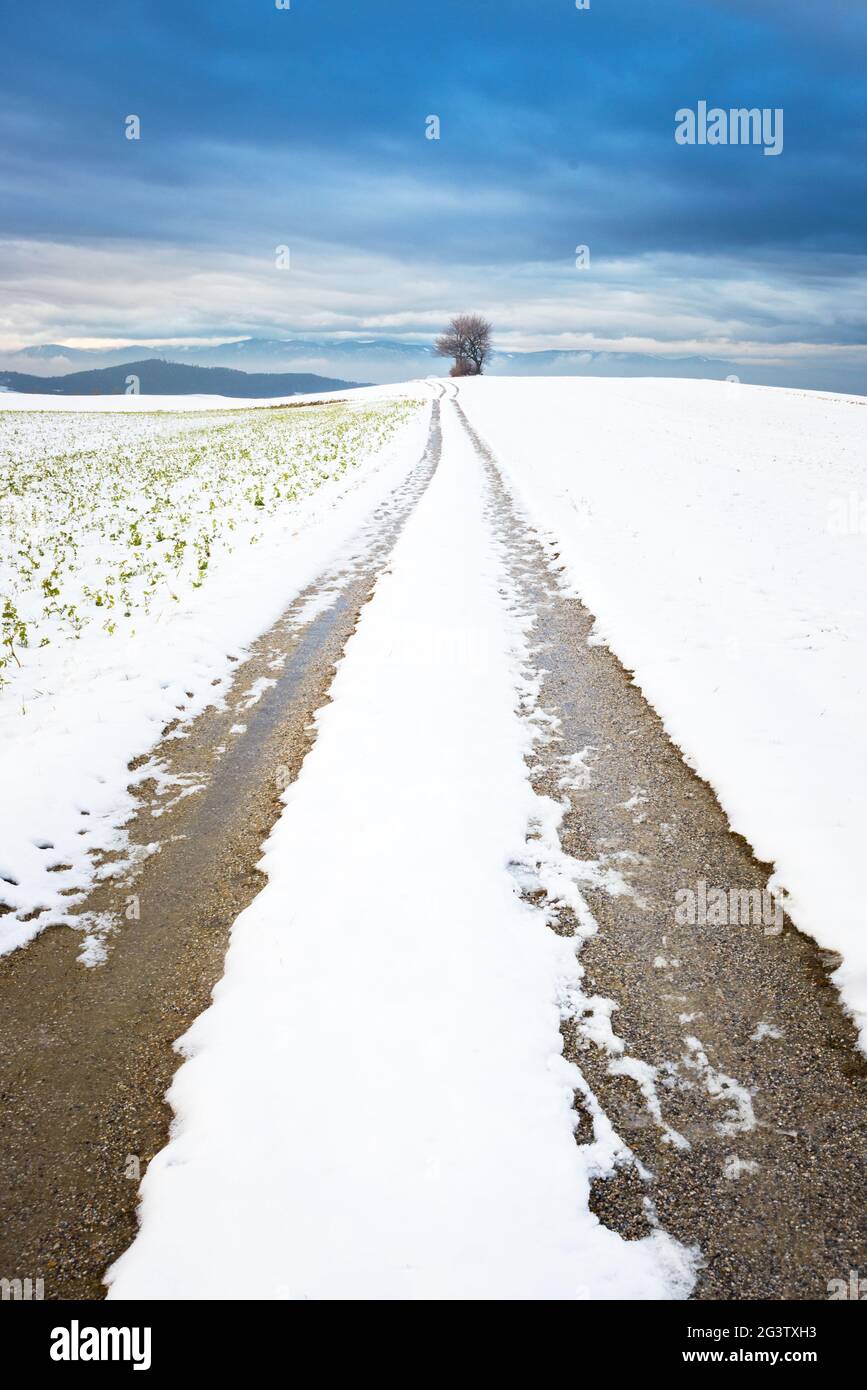 Paesaggio invernale a Hochwolkersdorf Bucklige Welt bassa Austria Foto Stock