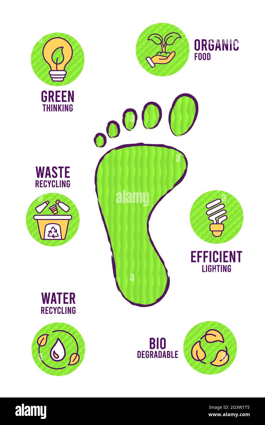 Modello di icone a linea piatta eco-compatibile, infografica sui simboli di tutela dell'ambiente a profilo moderno su sfondo isolato. Include il riciclo dell'acqua, lo zio Illustrazione Vettoriale