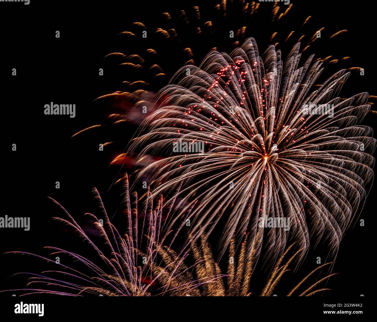 Fuochi d'artificio in cielo notturno per vacanze o occasioni speciali. Foto Stock