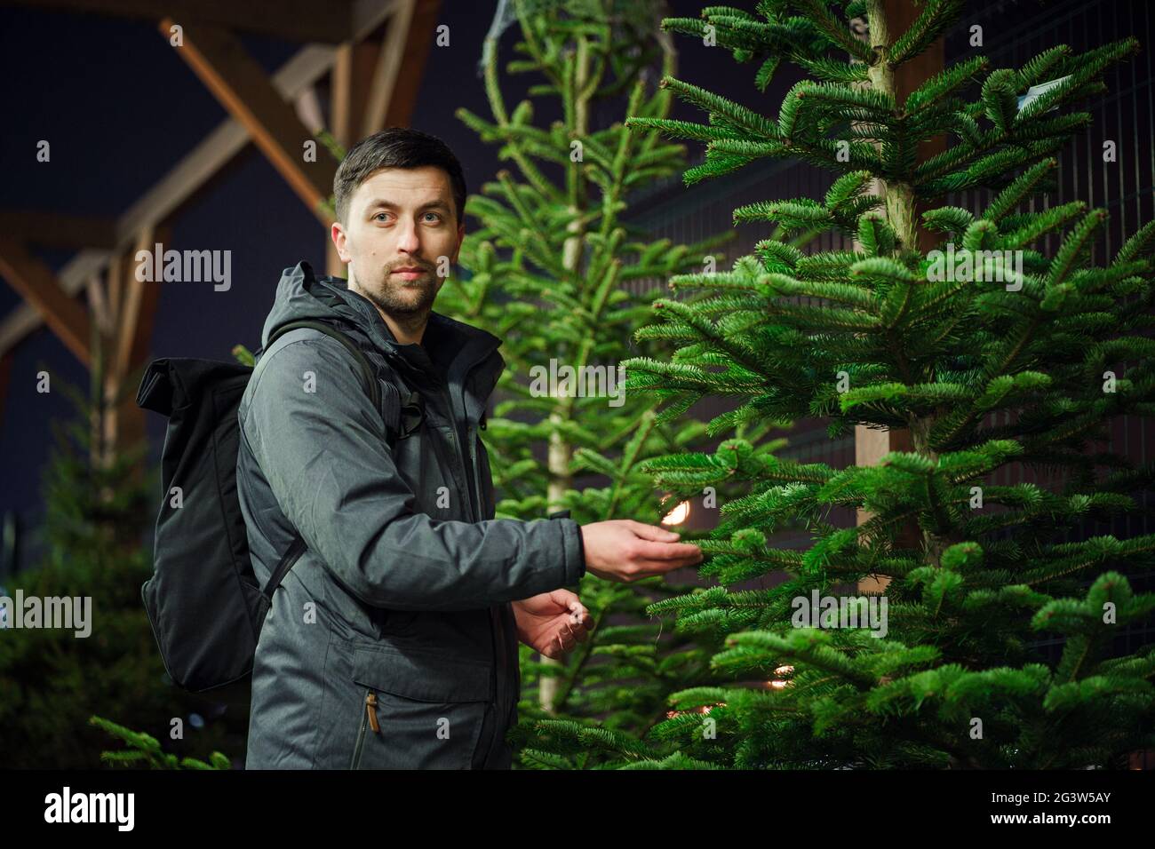 Trovato perfetto albero di Natale comprato a luogo speciale di piantatura. Giovane uomo adulto che sceglie un albero di Natale. Uomo che acquista natale Foto Stock