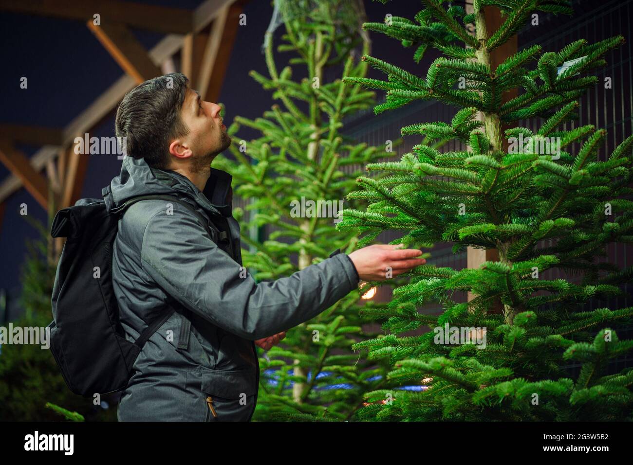 Trovato perfetto albero di Natale comprato a luogo speciale di piantatura. Giovane uomo adulto che sceglie un albero di Natale. Uomo che acquista natale Foto Stock