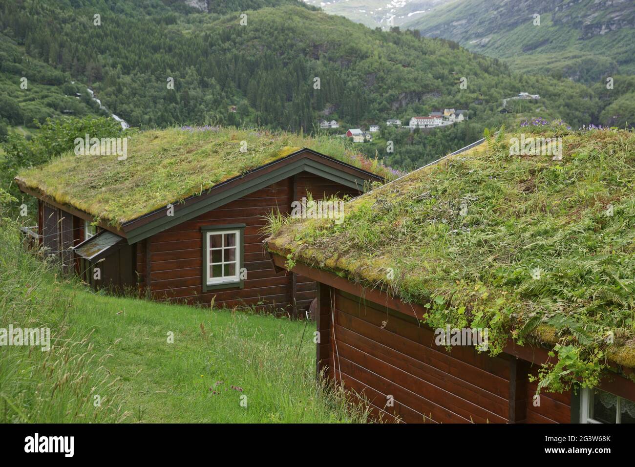 Tipica casa in legno con tetto di prateria nei fiordi di Geiranger in Norvegia Foto Stock