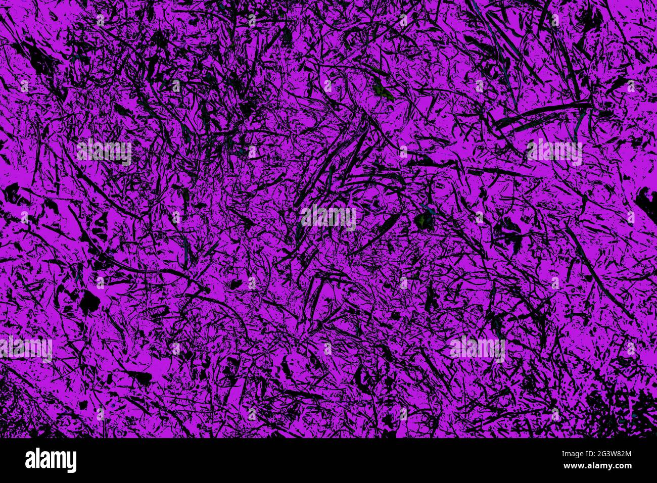 Foto di uno sfondo astratto unico per il design. Una superficie viola con macchie nere. Foto Stock