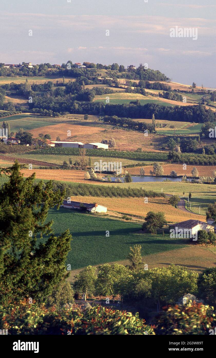 CAMPAGNA NEI PRESSI DI CAUSSADE, TARN ET GARONNE, FRANCIA. Foto Stock