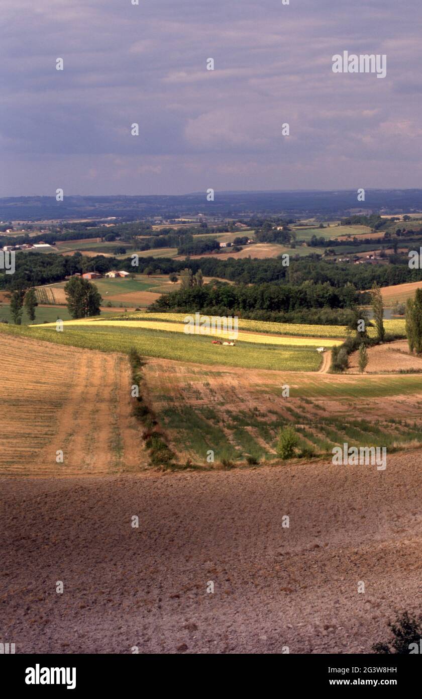 CAMPAGNA NEI PRESSI DI CAUSSADE, TARN ET GARONNE, FRANCIA. Foto Stock
