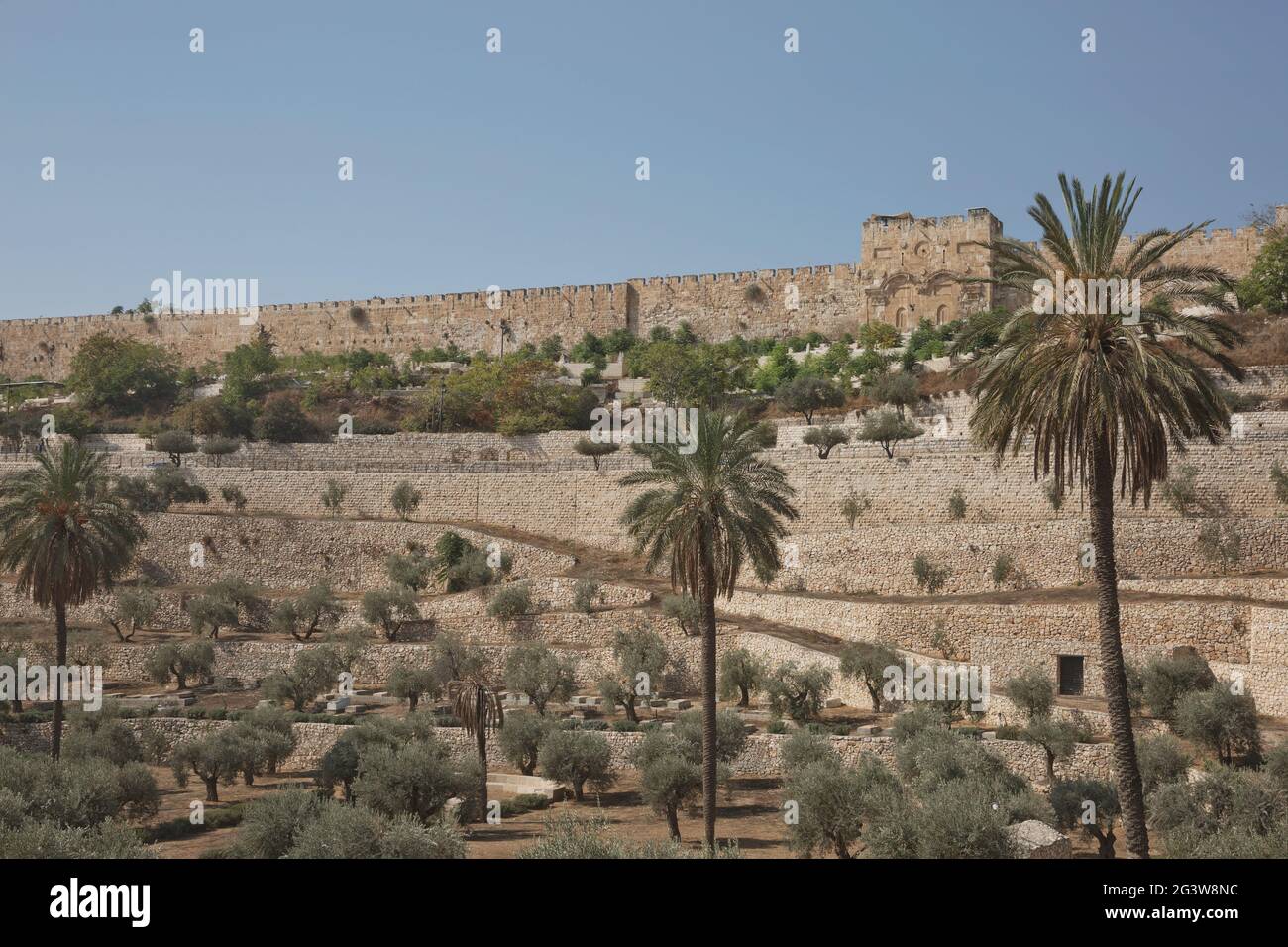 Terrazze della Valle di Kidron e le mura della Città Vecchia di Gerusalemme in Israele Foto Stock