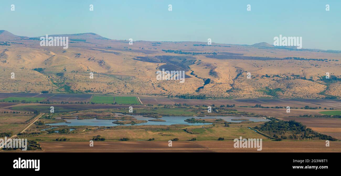 Agamon HaHula restaurato habitat paludoso nella Grande Rift Valley, Israele, è una grande area di riposo per gli uccelli che migrano tra Europa, Asia e Africa Foto Stock
