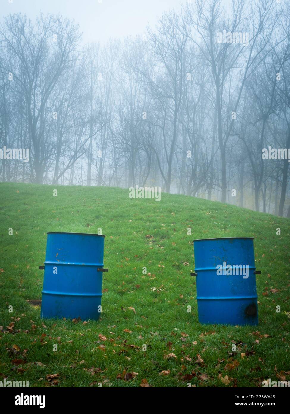 Bidoni di spazzatura blu in un parco di nebbia Foto Stock