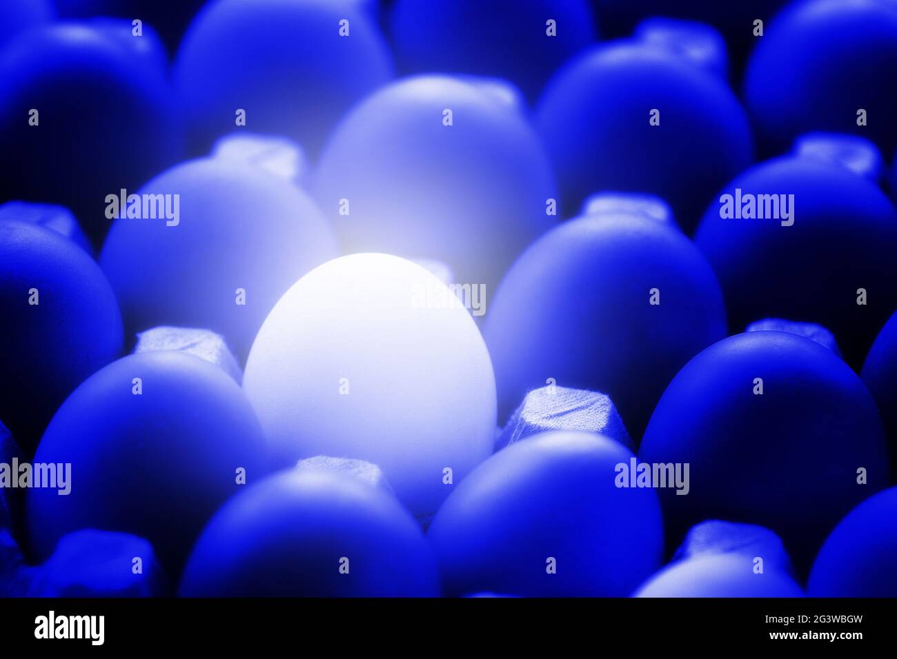 Uovo di pollo bianco incandescente tra le uova fredde blu. Insolito o diverso dall'altro oggetto. Foto Stock