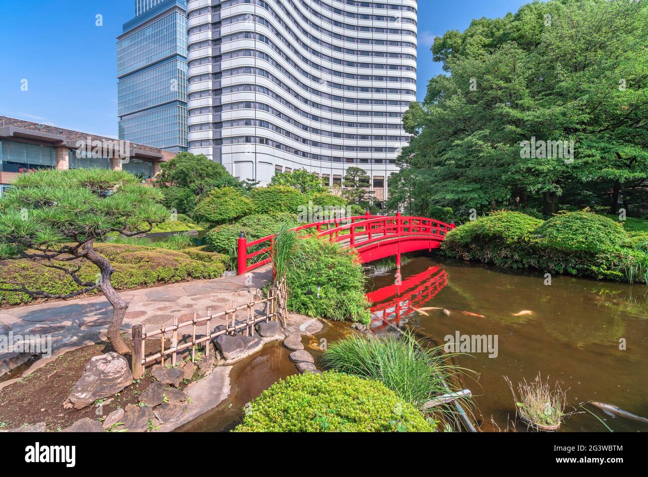 tokyo, giappone - luglio 17 2020: Carpe giapponesi che nuotano nello stagno Seisen-ike dell'Hotel New Otani Giardino Giapponese attraversato da un tradizionale Taikob rosso Foto Stock