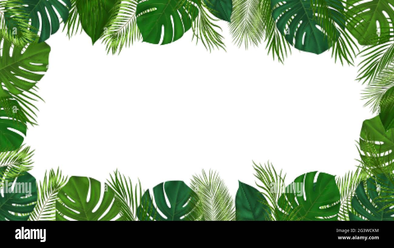 Sfondo tropicale estivo con foglie di palma verdi. Esotico disegno botanico con piante della giungla per invito, banner, poster. Illustrazione vettoriale Illustrazione Vettoriale