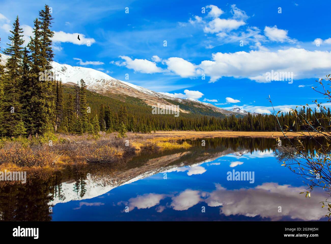 Gita autunnale alle Montagne Rocciose Foto Stock