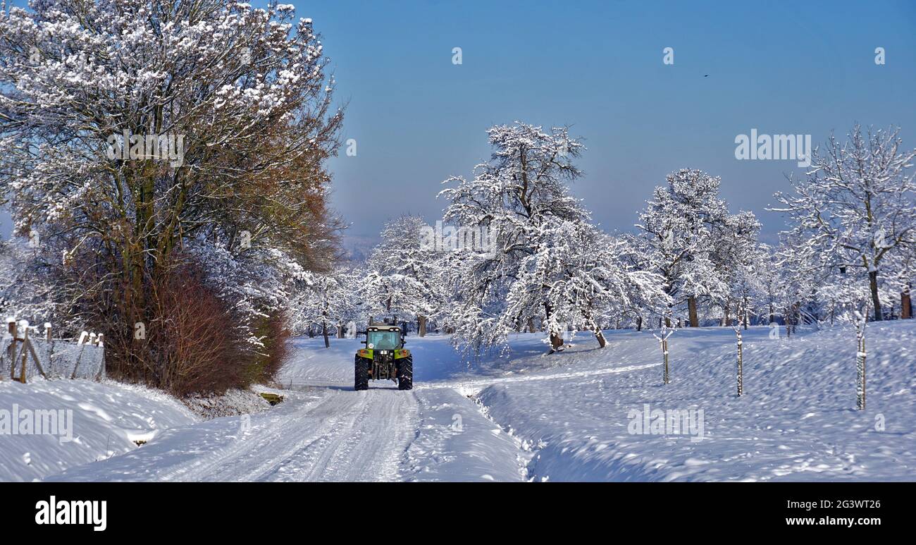 Il trattore nella neve Foto Stock