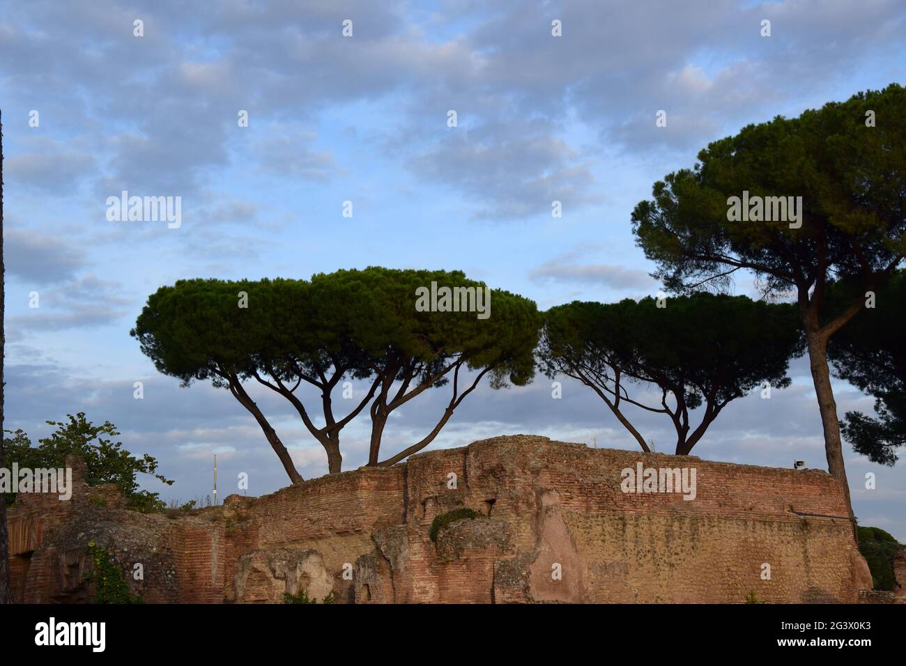 Stadio Palatino sul Colle Palatino - Roma, Italia Foto Stock