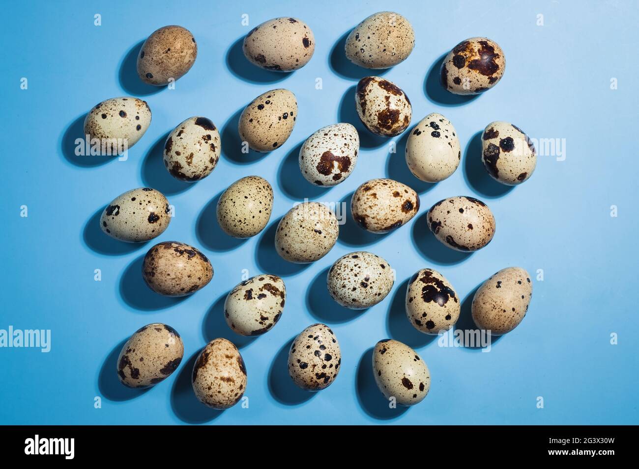 Posa piatta di un uovo di quaglia su sfondo blu Foto Stock