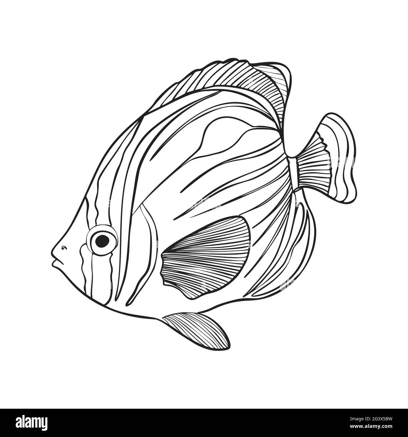 Figura vettoriale dello schizzo dei pesci di barriera. Set di animali subacquei disegnati a mano. Elementi naturali realistici per il negozio di pesca, Seafood Design. Illustratore vettore Illustrazione Vettoriale