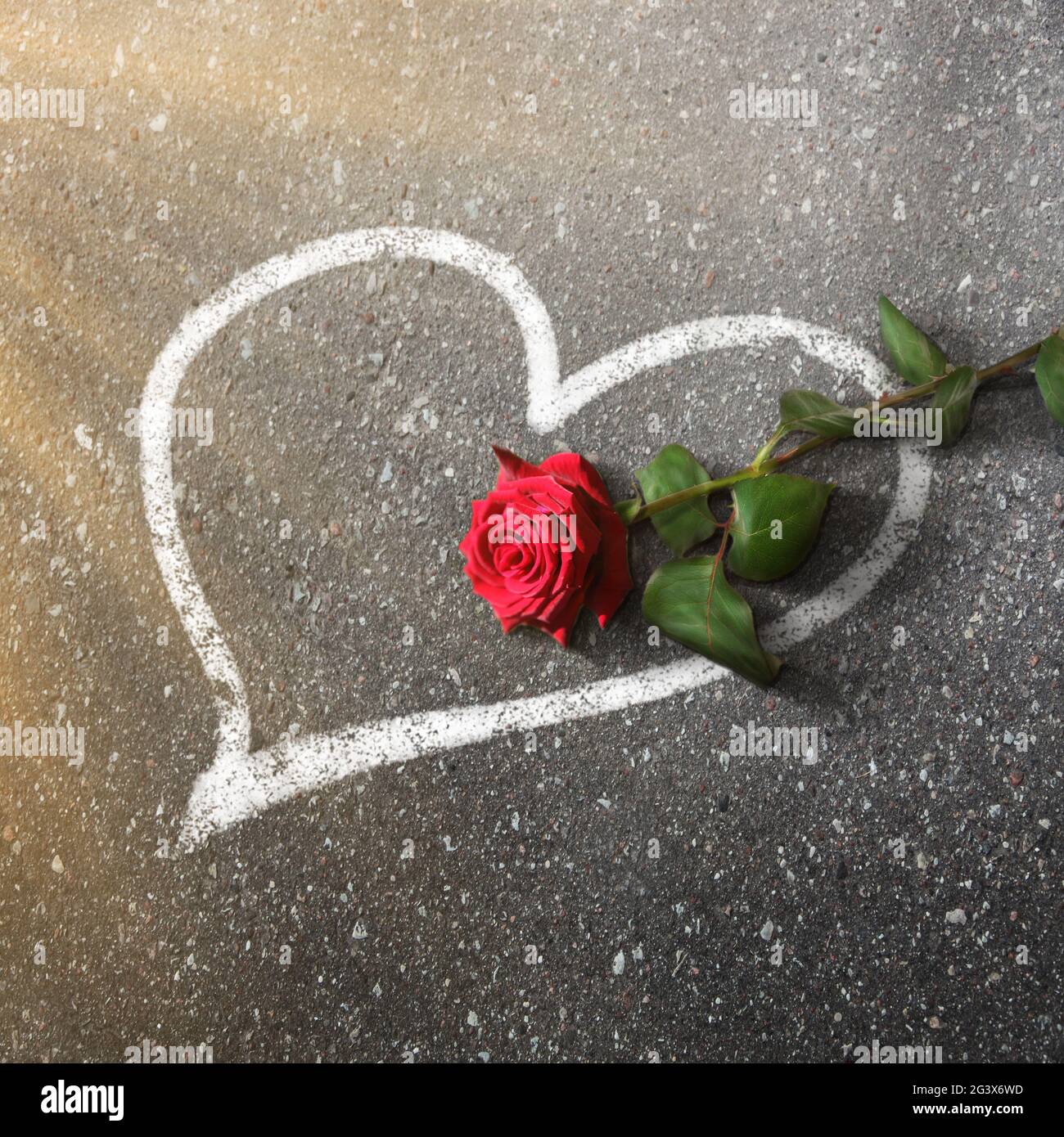 Buon San Valentino. Sfondo congratulatorio con il fiore di rose Foto Stock