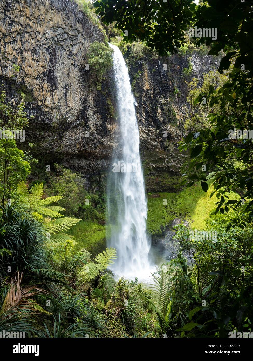 Le magiche Cascate Waireinga Bridal Veil nella regione di Waikato nell'area di Raglan Foto Stock