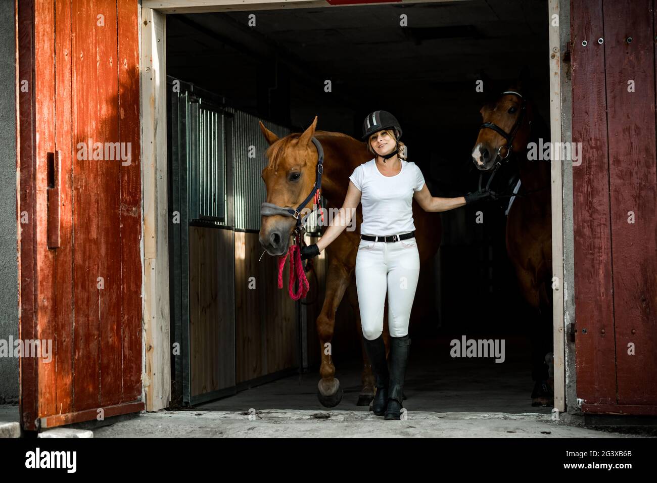 Giovane donna atletica in abiti da cavalcare prende due cavalli per cavalcare da stable.They sono tutti Happy.Concept di stile di vita adeguato. Bellezza e divertimento Foto Stock